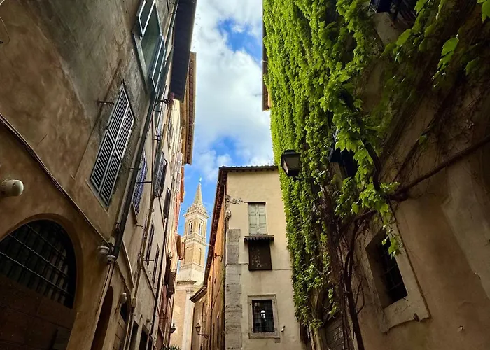 Navona Fox House 1